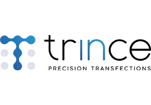 Trince