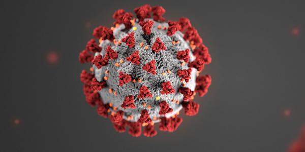 VIB announces complete development of COVID-19 antibody, and its effectiveness against new variants VIB announces complete development of COVID-19 antibody, and its effectiveness against new variants