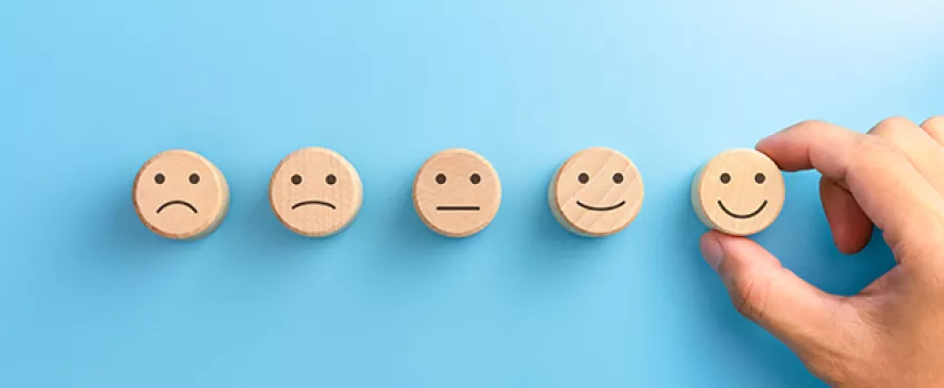 Website satisfaction survey